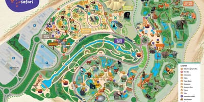 რუკა დუბაიში zoo